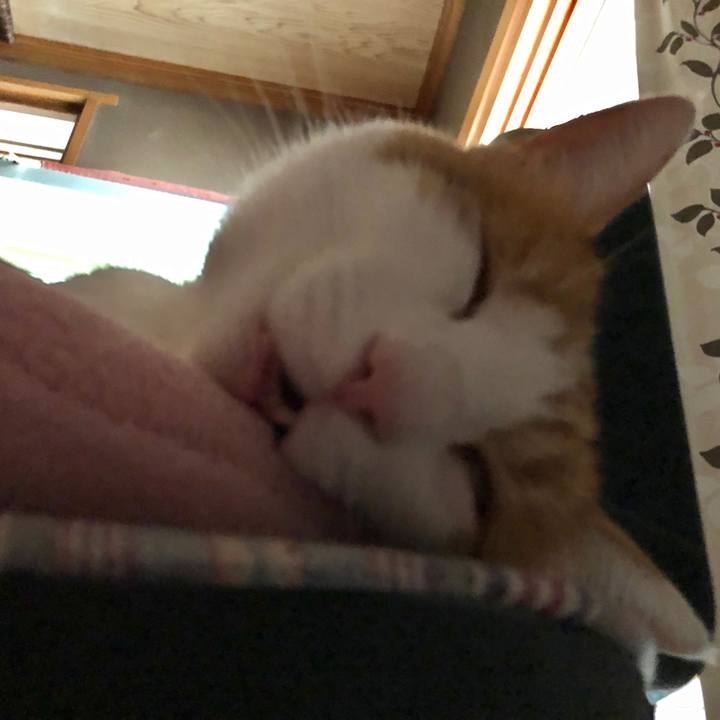 3bf95b9d 0cff 476d 83f5 08811aca670e 1563098303472