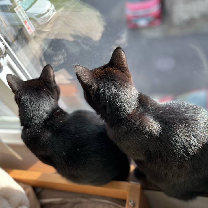 3bf96784 59c7 4eb2 b1a2 4f0f51a23efb 1641088412995