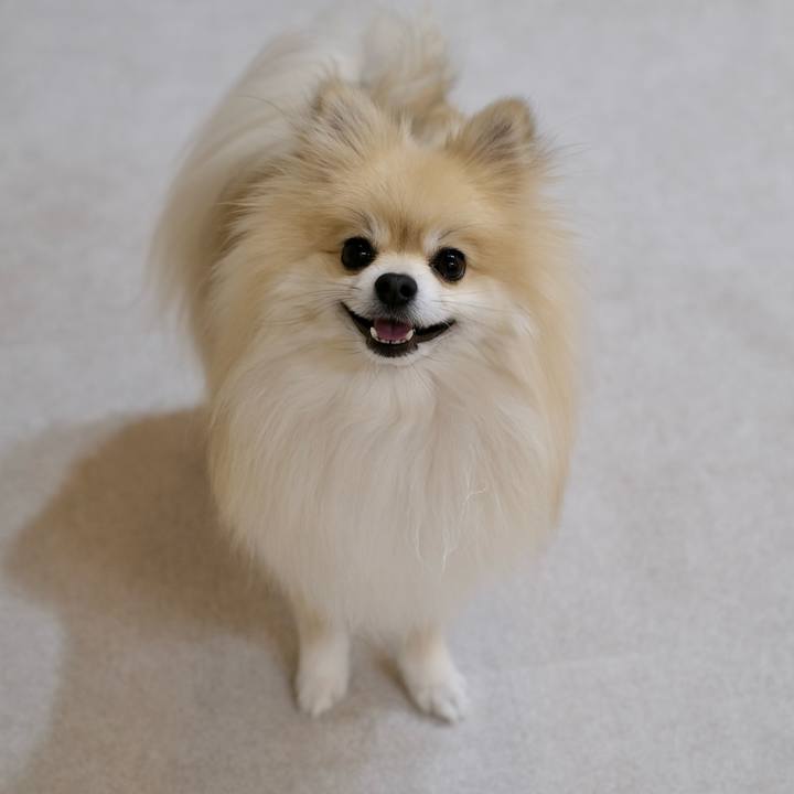 3bf9a459 1ee2 4907 8877 30a06353549f 1774351307318