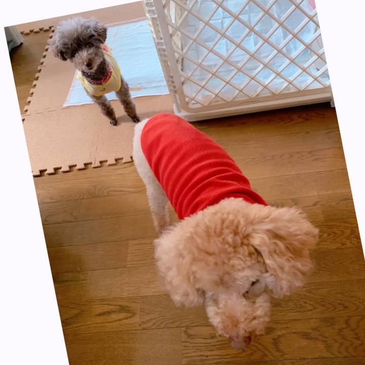 3bf9b517 a18c 45b6 a4c1 555cfca4e20d 1618959174649