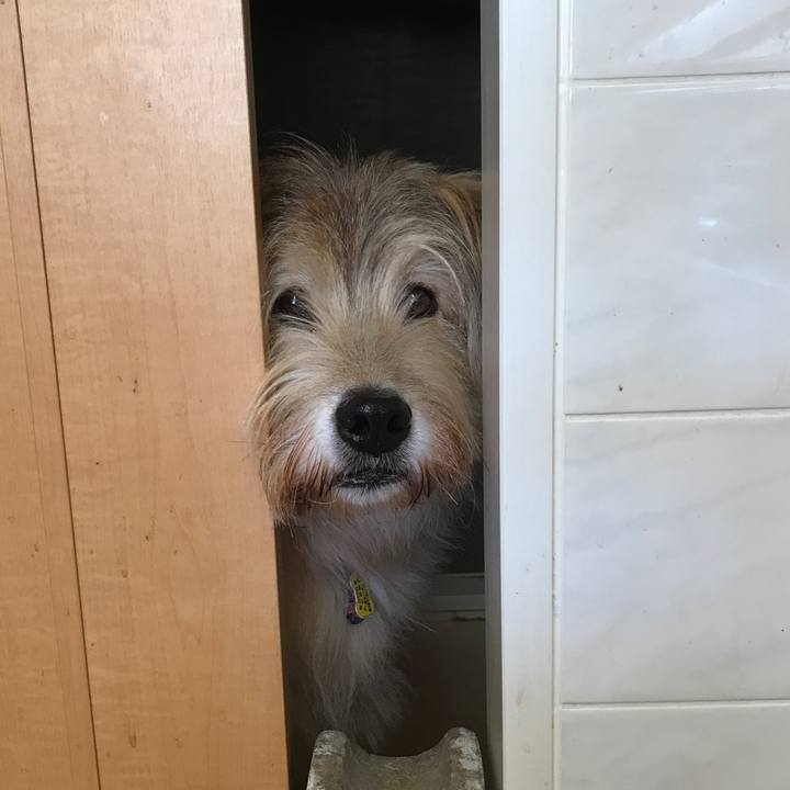 3bf9cd41 93b8 4c4e be79 bc8704a3a2eb 1575334712690