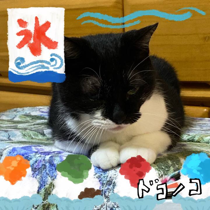 3bf9fe23 a55c 47d5 a7b7 deab1b52c575 1723560820962