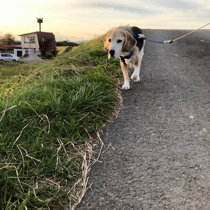 3bfab6b5 4b4f 417f b4f6 256e28c5425d 1604269106297