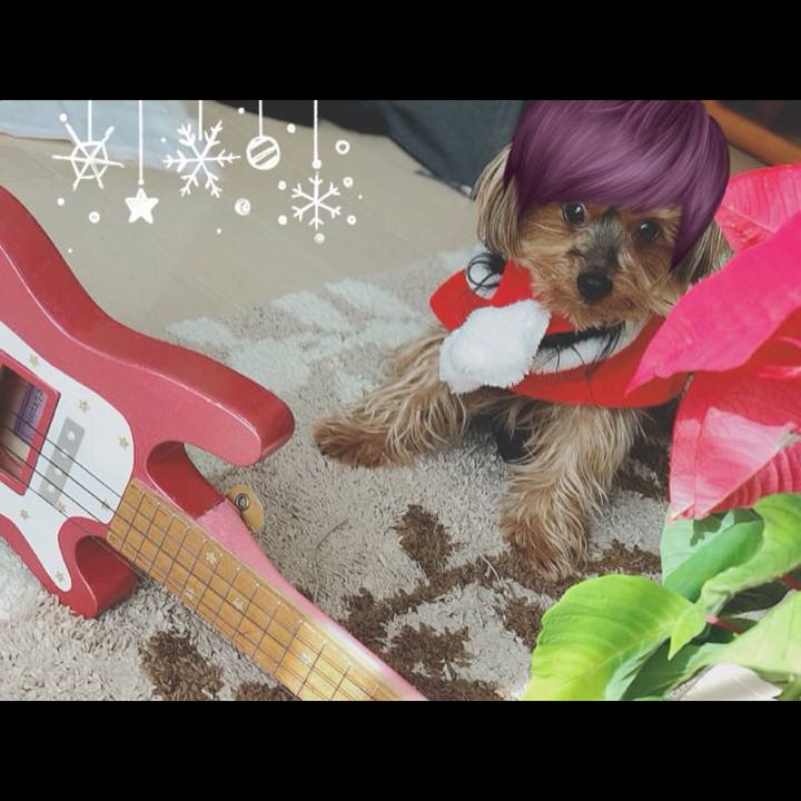 3bfaba43 2eaf 4d1b a728 ec3db9ff2e98 1513395223225