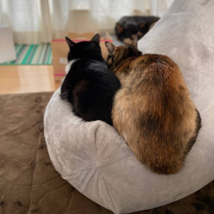 3bfb20a0 faa3 4c22 aec1 27fbd8f78fa8 1608351348349