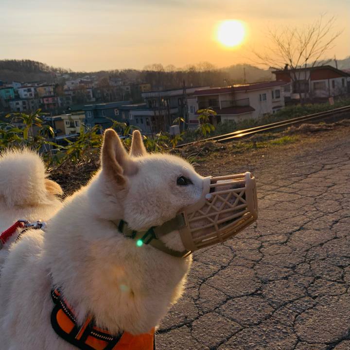 3bfb2144 db1a 45ee 9b15 444bc761c4d4 1618521374071