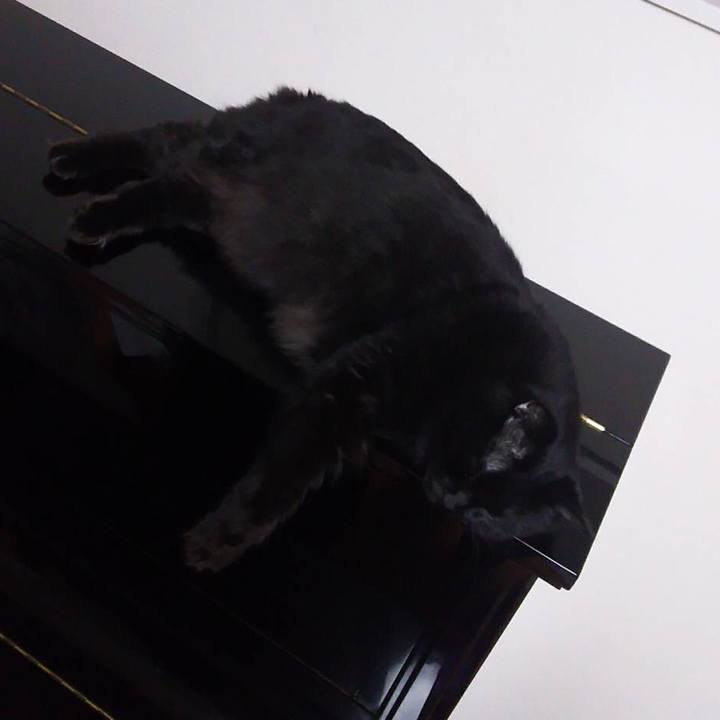 3bfb32b5 a110 4c4b b049 b4f2e3f57e1d 1538178467409