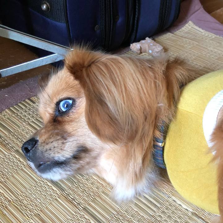 3bfb36cd 5d17 4ce1 b8b2 550c3a0275e7 1524364659641