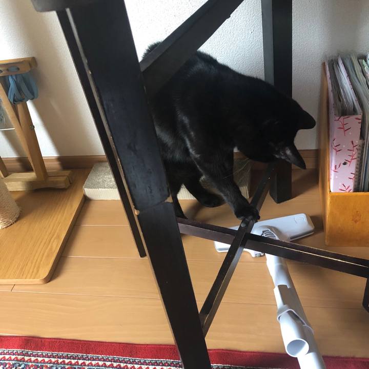 3bfb5842 2cae 4a17 85b6 e6e0be38fdcf 1544934297295