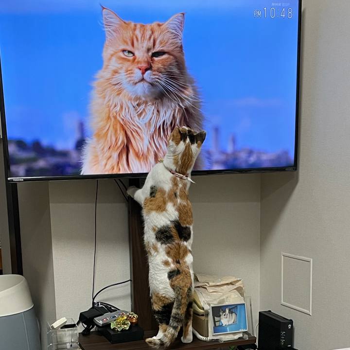 3bfb5e69 e4f8 4fc5 a947 22d8217ae90a 1646142774477