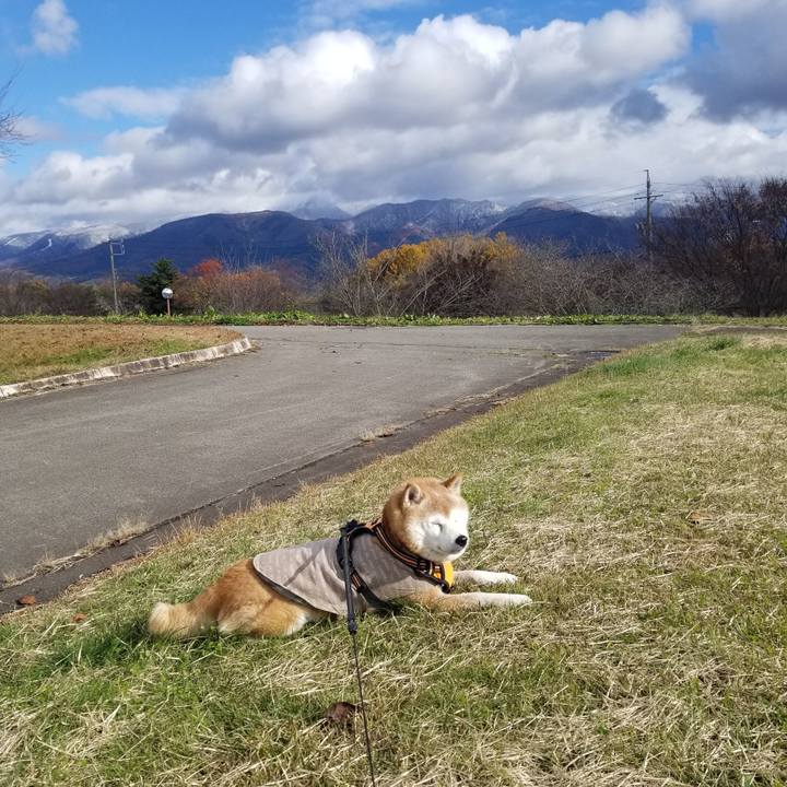 3bfb5ef8 86cf 4d98 804a b677dcb5f162 1732441648906