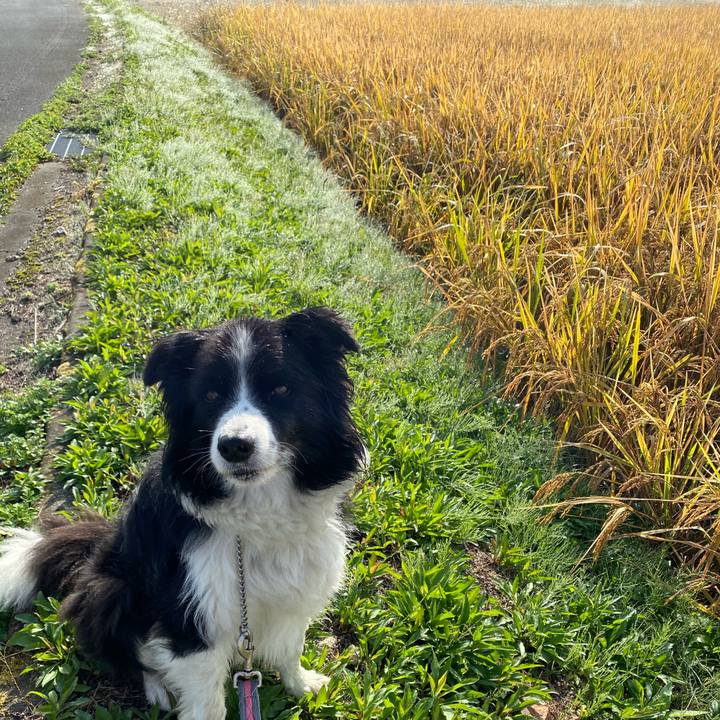 3bfb65ec 43df 4033 9ece 8f0ab310bfa0 1604365491289