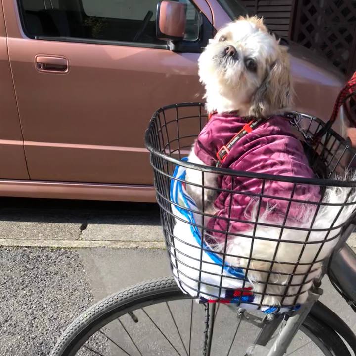 3bfba335 ffd7 430e ad02 2179835797f8 1585172745575