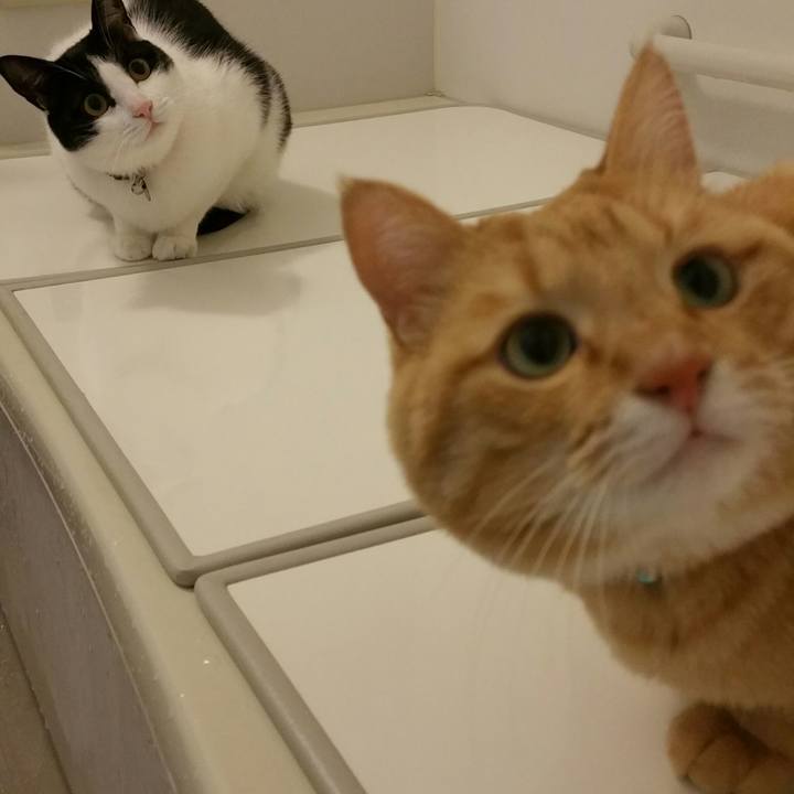 3bfbb40c b83c 4a3e 8878 f83e6420514f 1514560387323