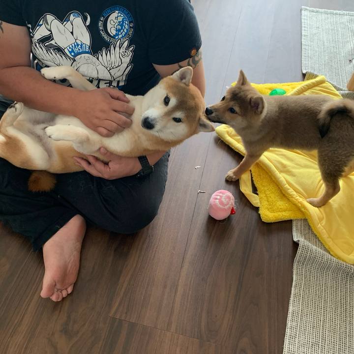 3bfbc351 a410 4775 b203 e4fb636521a7 1619229809458