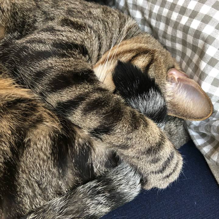 3bfc0d1f a9b3 468c af49 9e0556f0374c 1519059840648