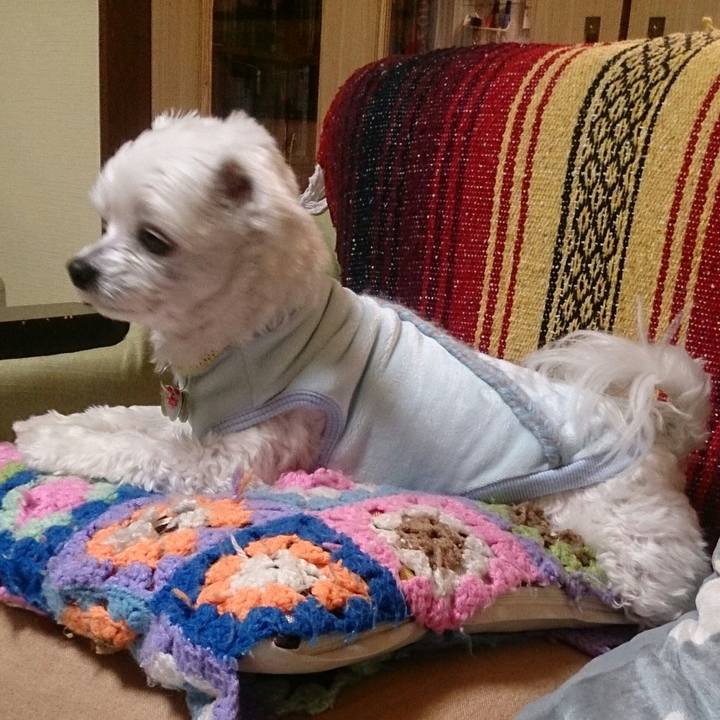 3bfc415d fc1d 42ed a084 2fbc79f158a1 1515227357223