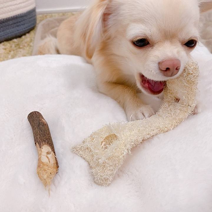 3bfc5617 722f 4375 8773 6e573dd35dfc 1615803407861