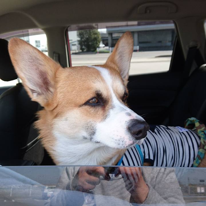 3bfc6434 fcd9 446a b2c8 059f9ad5fcca 1584711426485