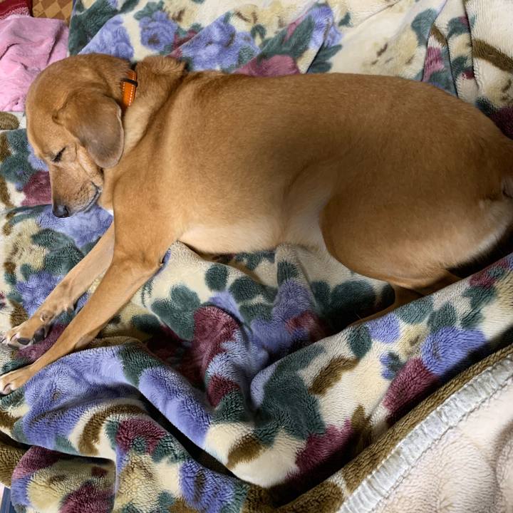 3bfc851c 7f25 4708 ba03 1b5b92642896 1572346456497