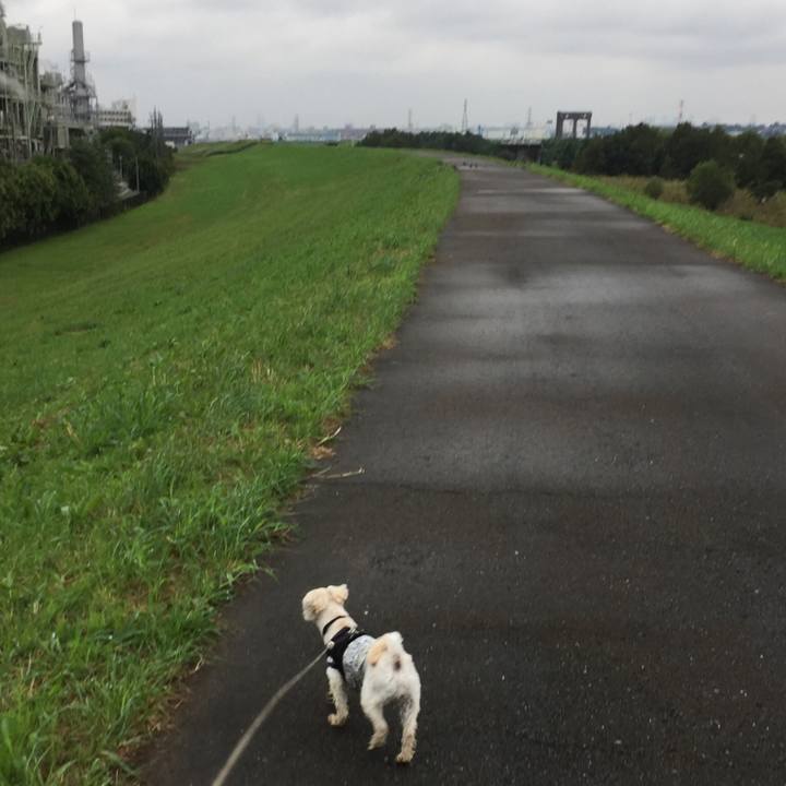 3bfca4df a7d1 42df a62b f137f245b0a4 1507985790653