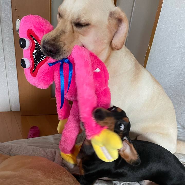 3bfca7d5 4d10 4632 92f3 369324984969 1664239934476