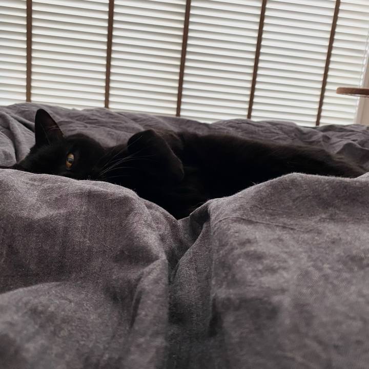 3bfcd8f2 778c 4716 84e0 b3cfcbe7dba9 1741413406070