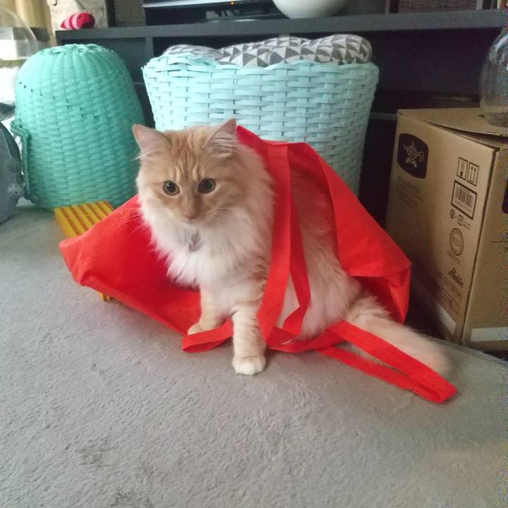 3bfd06f9 7730 4711 aadf b93a570cade7 1651786766825