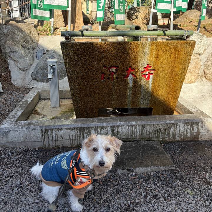 3bfd30e1 e46d 4dd1 a322 e5c88a3149f1 1769319061149