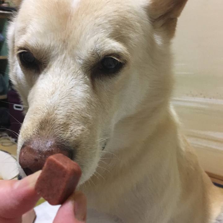 3bfd41a8 feec 4a34 b587 34256408f084 1525176892069