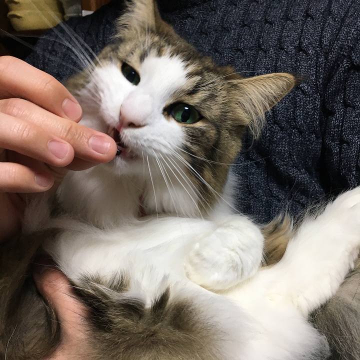 3bfd4247 fb71 4acb 9dce 923bd58630ab 1511615003771