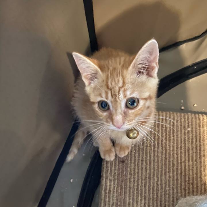 3bfd5fad 2a38 47f7 a27e e16b60a6898e 1655629909205