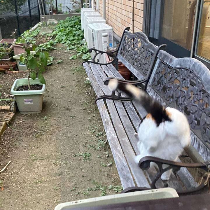 3bfd93a1 d4ff 40b6 822e 4a70eca52967 1639145721843