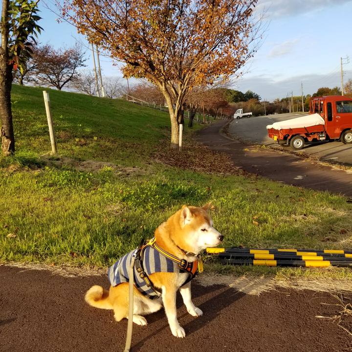 3bfdb84b f44e 4c6a 9c35 9631664dc5f4 1635491137951