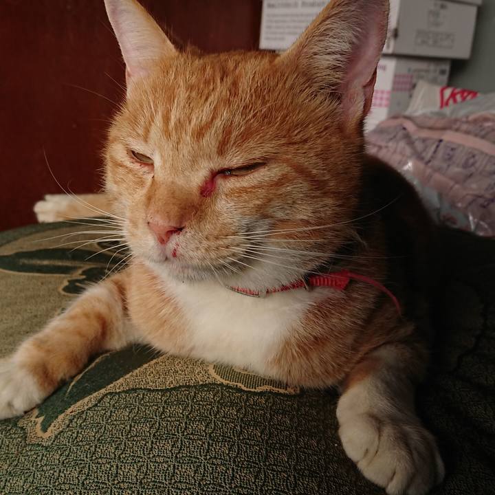 3bfdbb02 f73a 4b94 aa20 7438f753b5d2 1571526106660