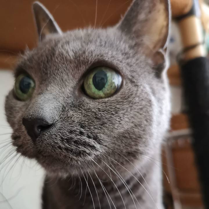 3bfdc245 b15c 4cbb ab02 6613763e75e1 1599966359156