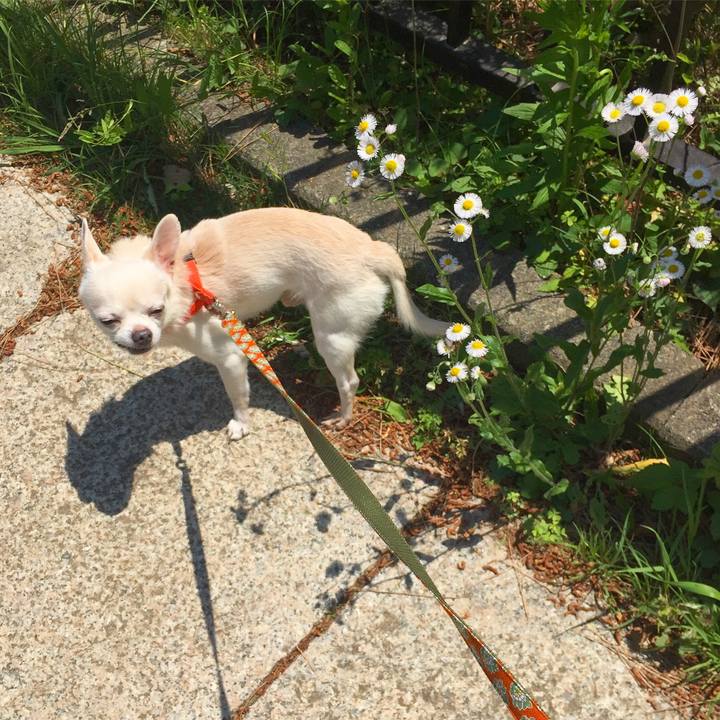 3bfdc3d9 f71b 4fd2 9793 8daf02c06caa 1525514320283