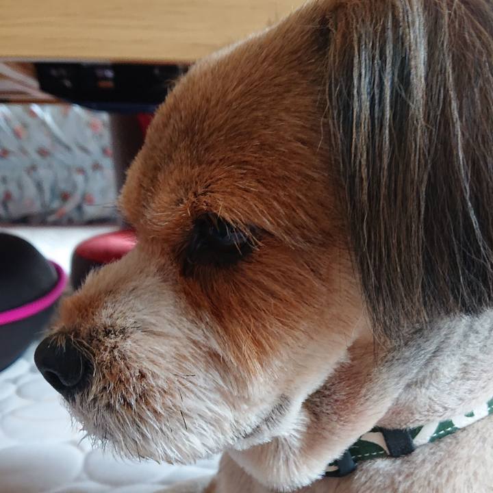 3bfdee98 190a 4398 afed 872cc722fc47 1562645203457