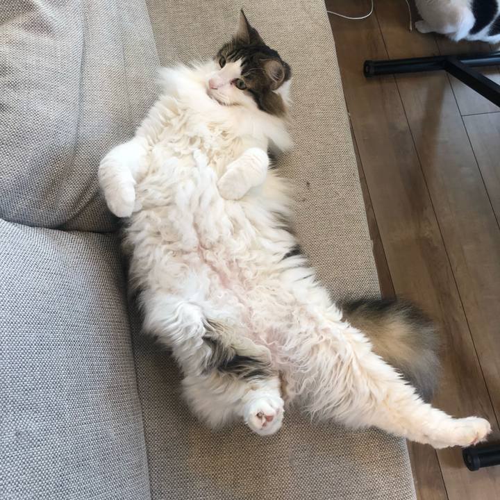 3bfe4ffb 68fa 4bbc 8066 8b2d3e2f925c 1630058461843