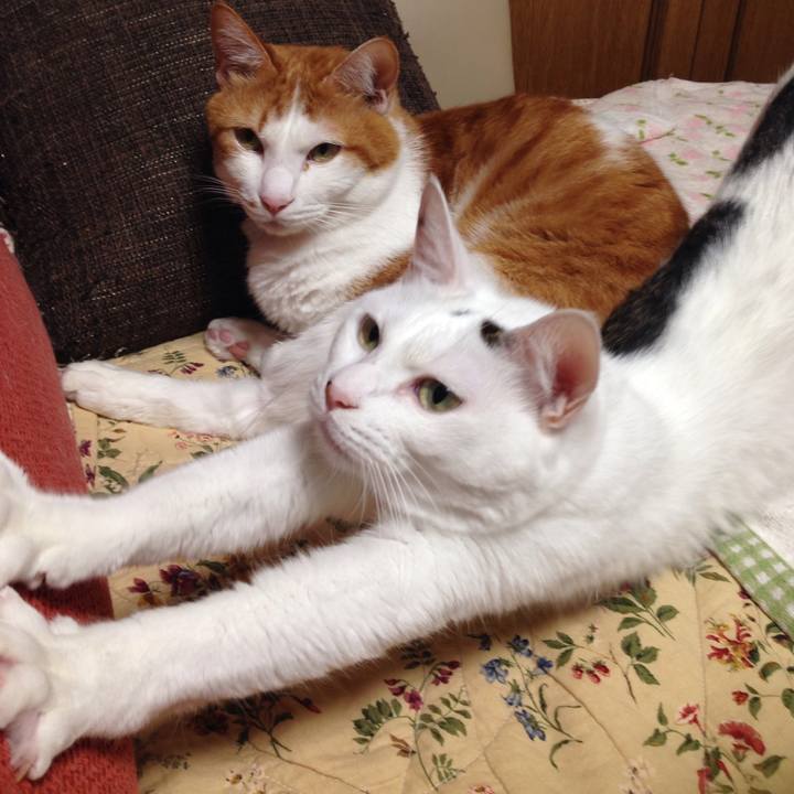 3bfe5097 a57f 49d6 85ab 988840581829 1508744229761