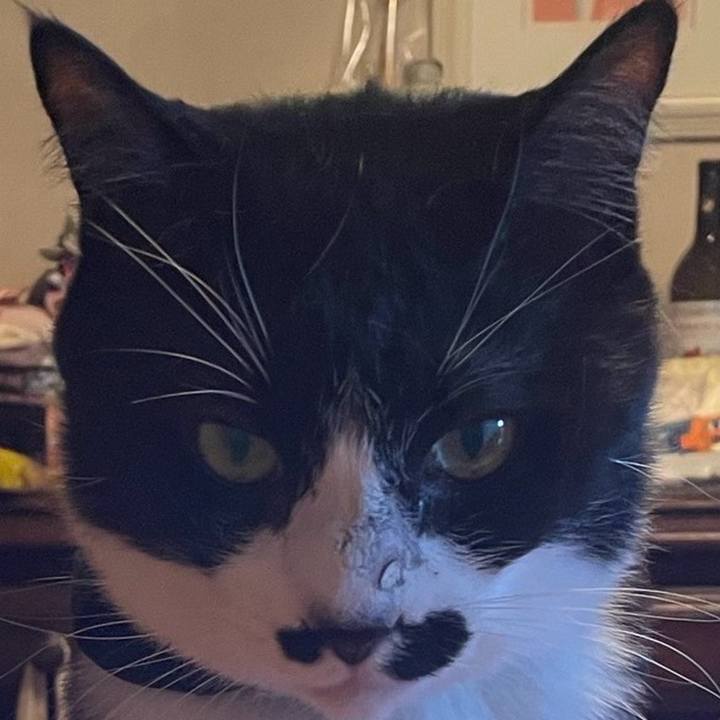 3bfe6d4a 2b24 41d3 89a6 d5fa31bb0eb1 1742559003703