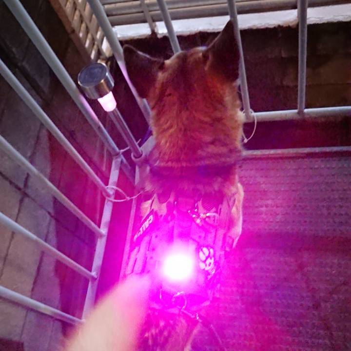 3bfe834d 454b 499a 9e3e 9119b70cf65c 1558533640403