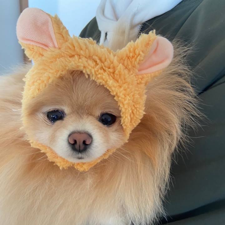 3bfe9a84 a16d 41f5 bb7f c6a811b51035 1669614001553