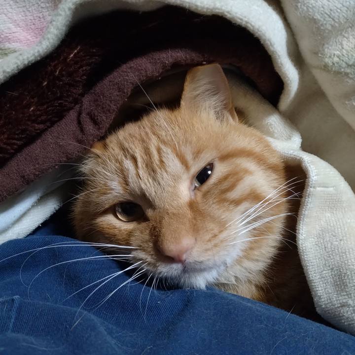 3bfea6c1 f6eb 4d60 8ab0 268605b61676 1701087403128