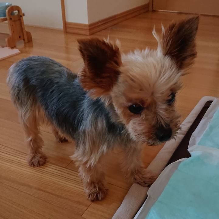 3bfeb3dd 547b 45db a16e 40c21d3755fe 1565131376529