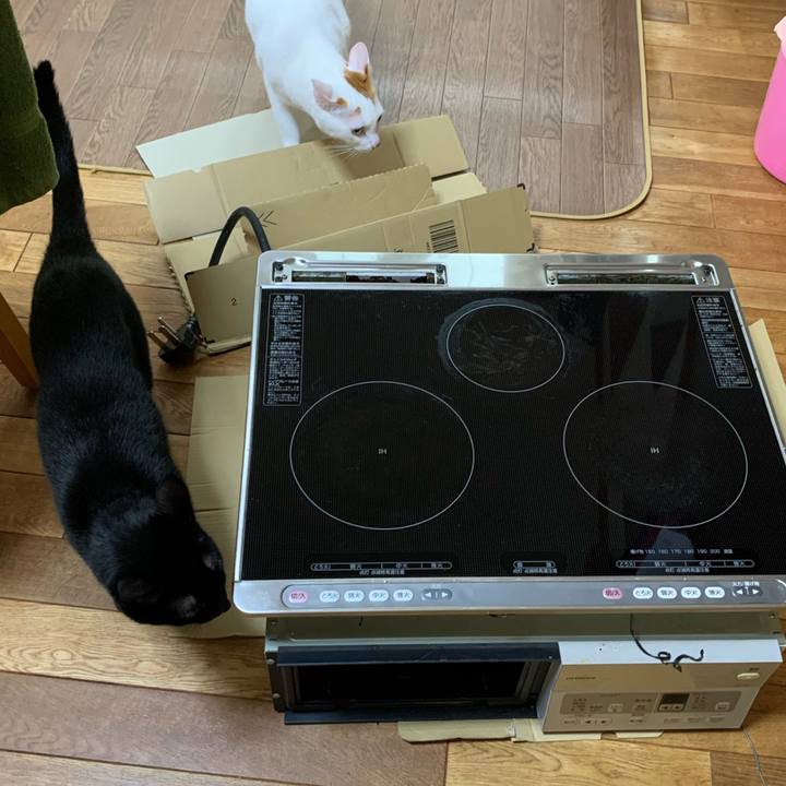 3bfeb6d3 f011 40d6 a5b3 10b257efc57d 1631852823686