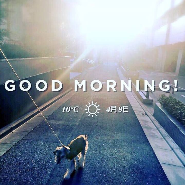 3bfeb7be c25f 416e 9ff6 dbf57fe96d08 1523223430138