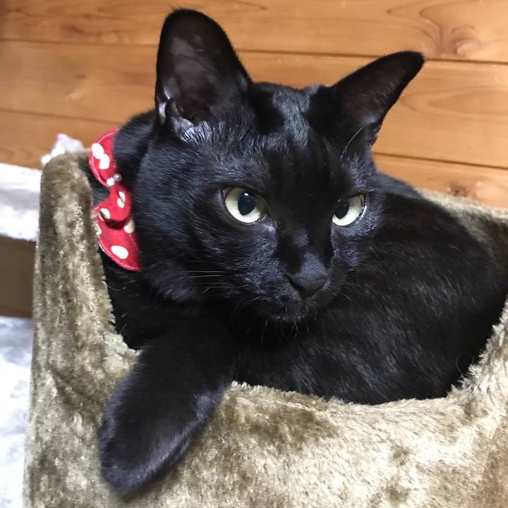 3bfec454 7217 42c3 b6f2 e584546f6db1 1522416941883