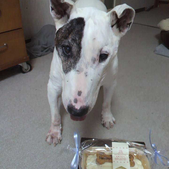 3bfedf27 f007 481b 9fc3 b36f77947f30 1540428147084