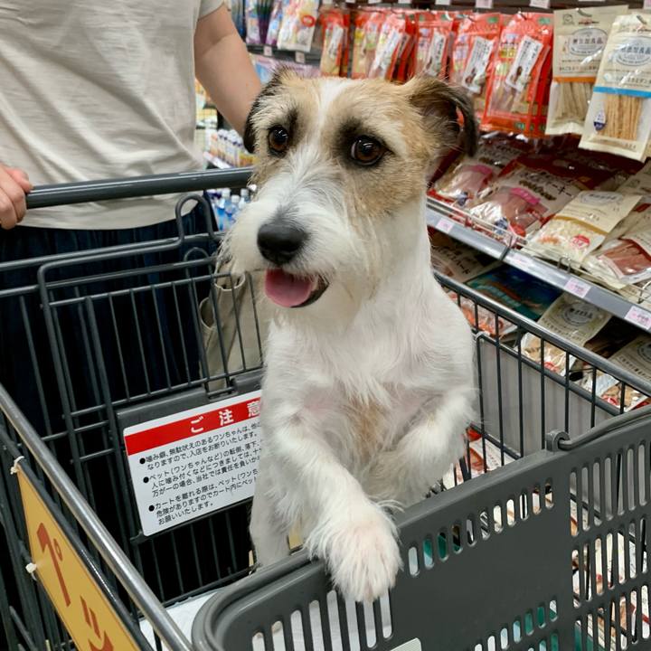 3bff02ae 1b15 45da ba45 ae3ef57a8621 1656264371077